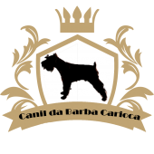 Barba Carioca - Schnauzer
